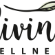 DW-logo-3.1-cropped