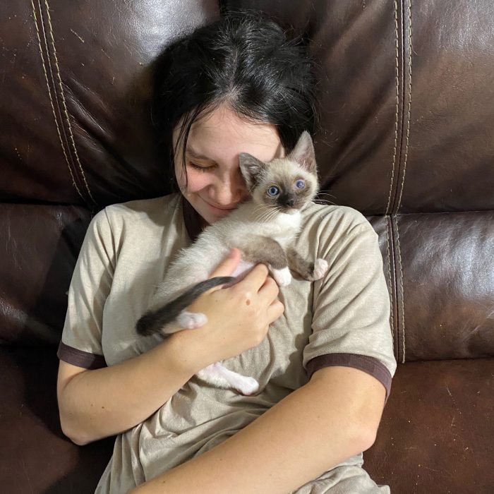 kitten kitten