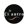 cilantro cilantro